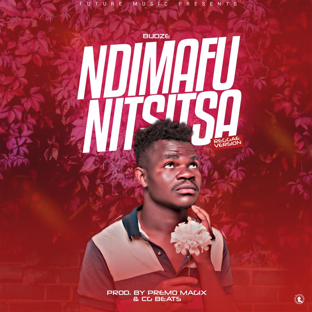 Ndimafunitsitsa