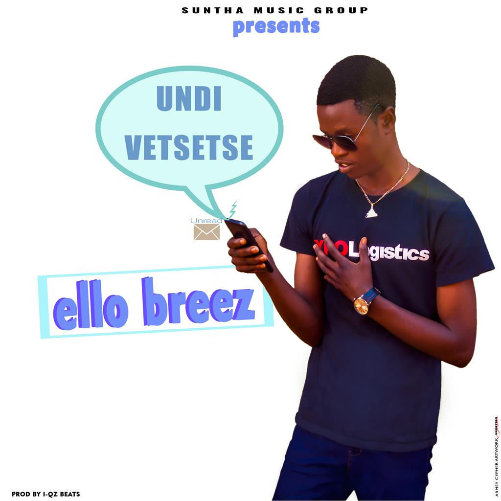 Undimvetsetse 
