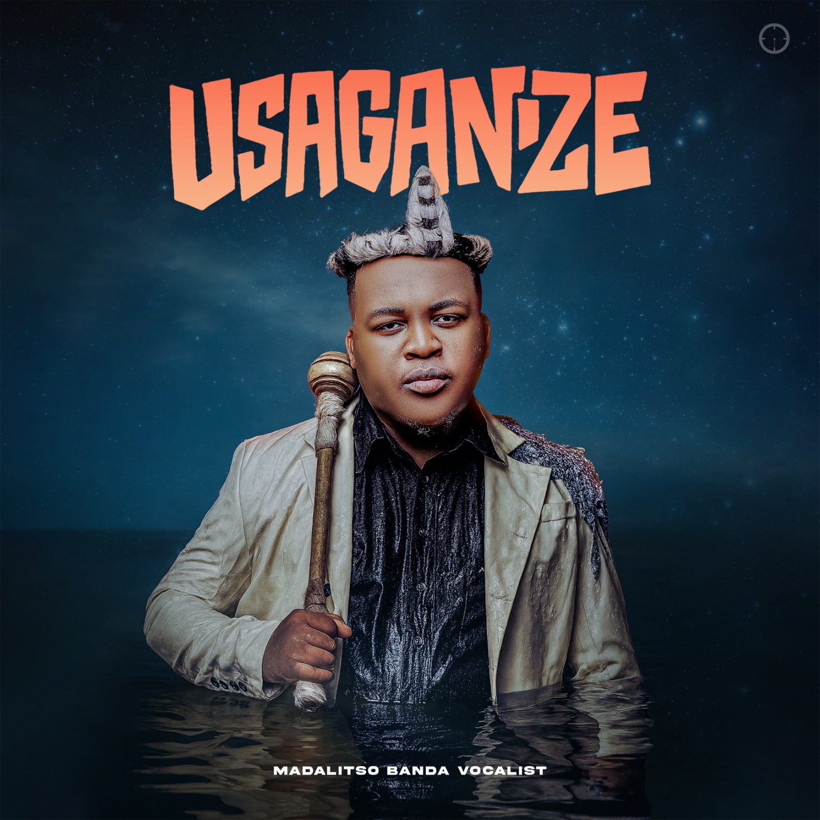 Usaganize