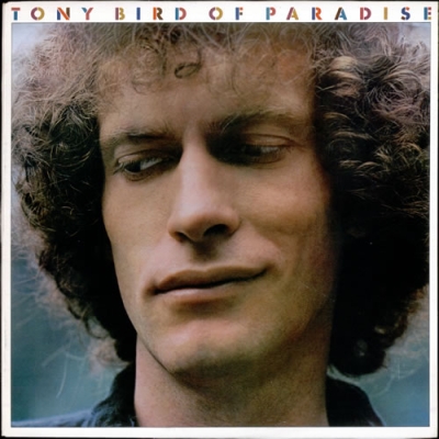 Tony Bird