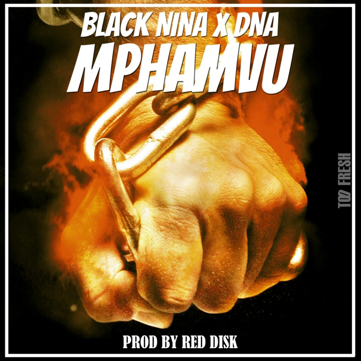 Black Nina 