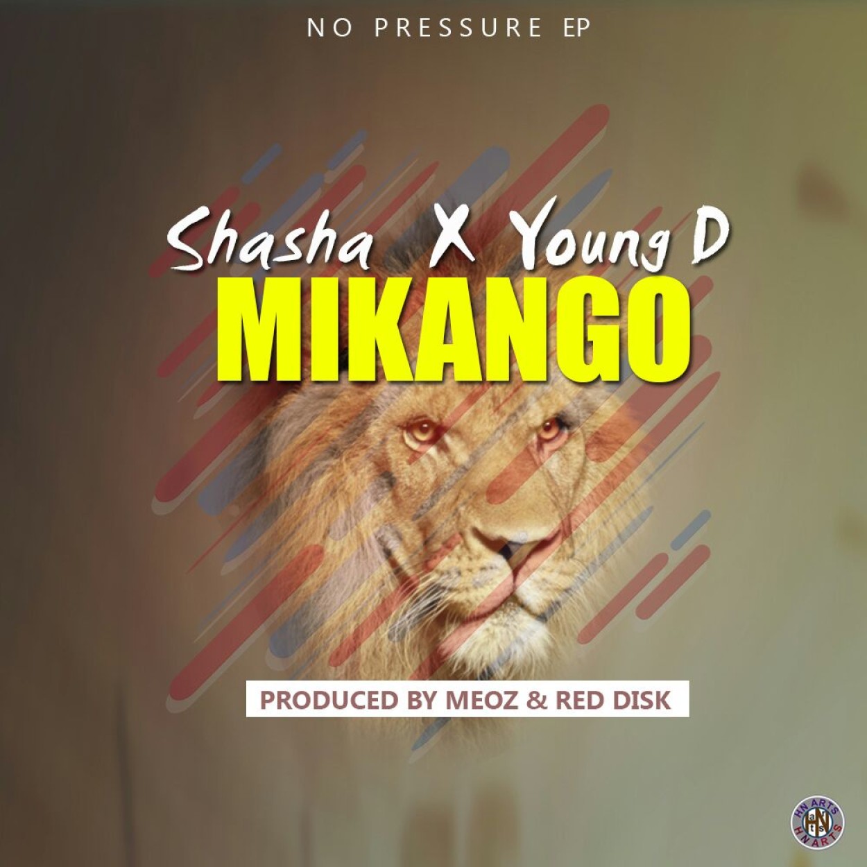 Shasha & Young D 