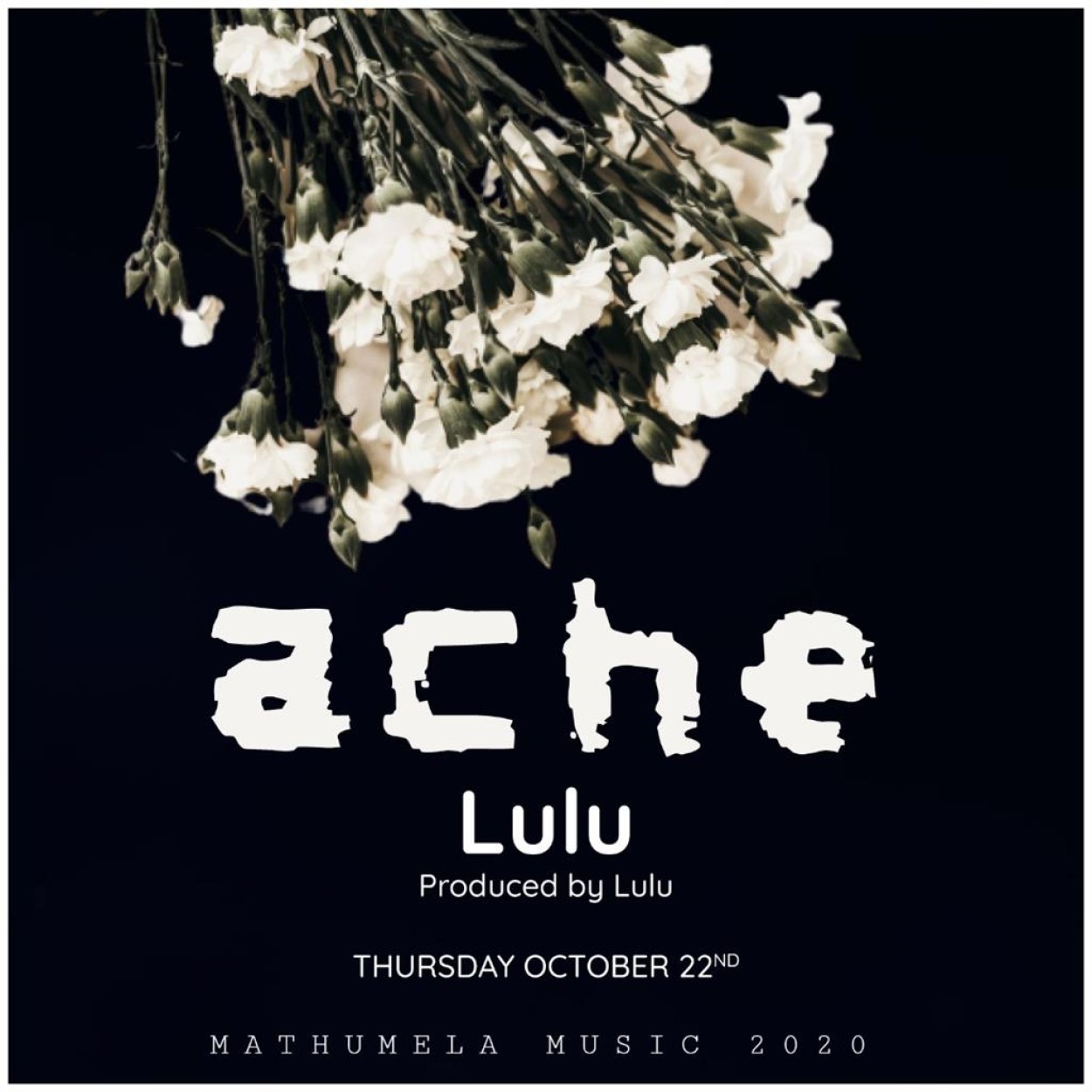 Lulu & Mathumela Band 