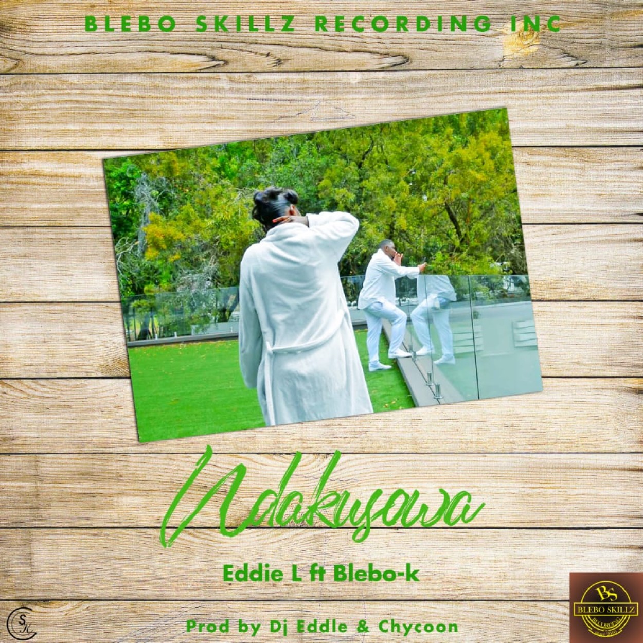 Blebo Skillz Recording Ink 