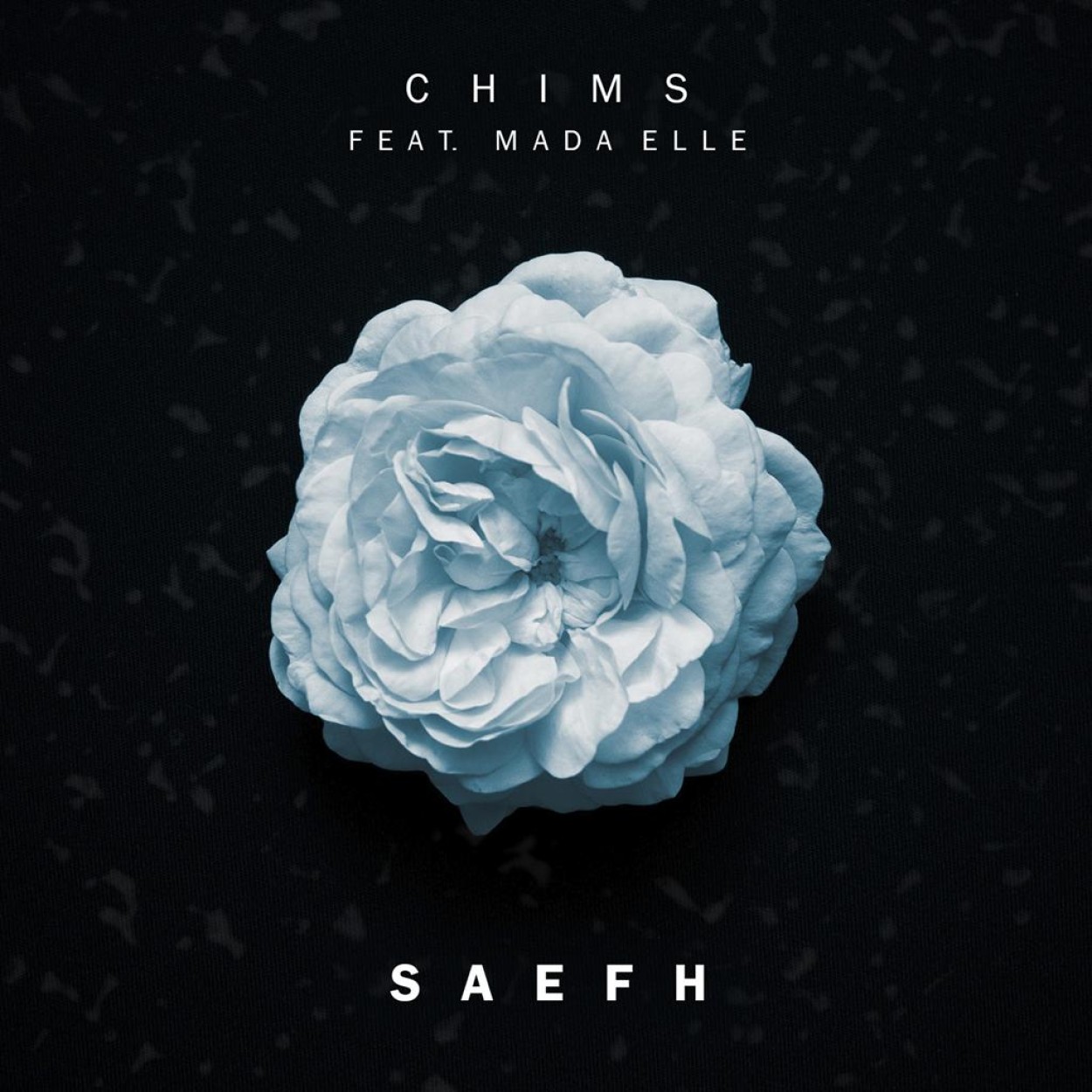 Chims 