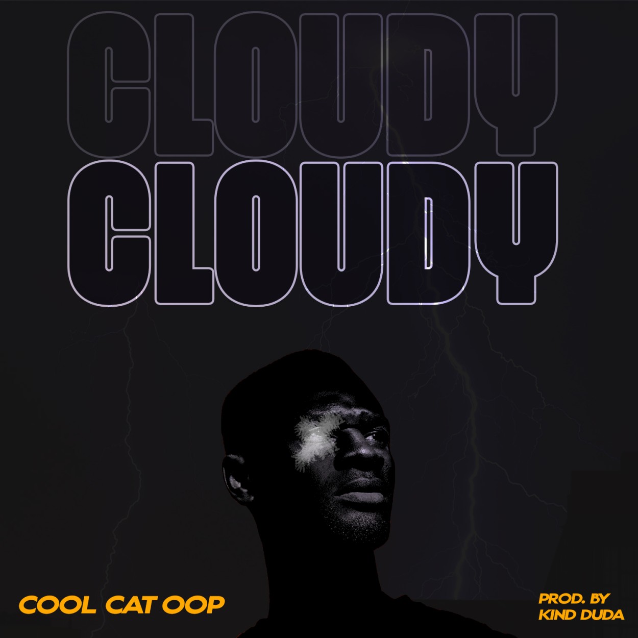 COOLCAT-OOP 