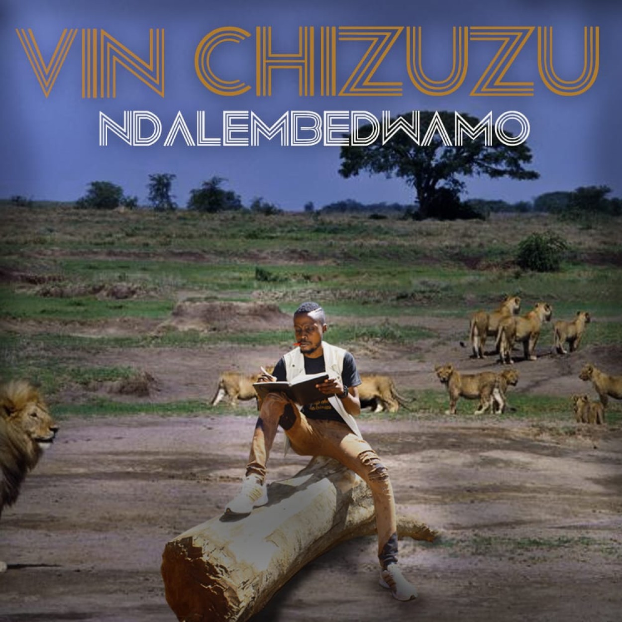 Vin Chizuzu 