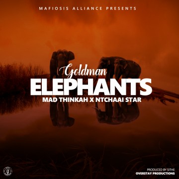 Elephants 