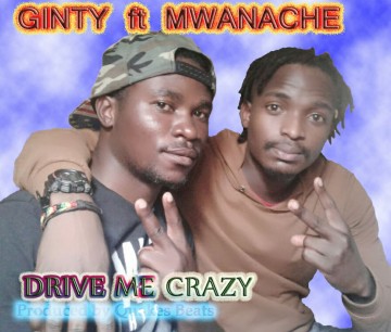Drive Me Crazy 