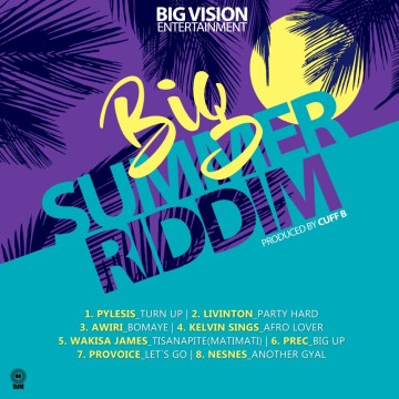 Big Summer Riddim 