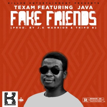 Fake Friends 