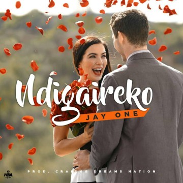 Ndigaireko 