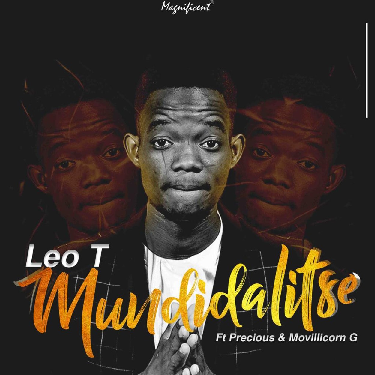 Leo T 
