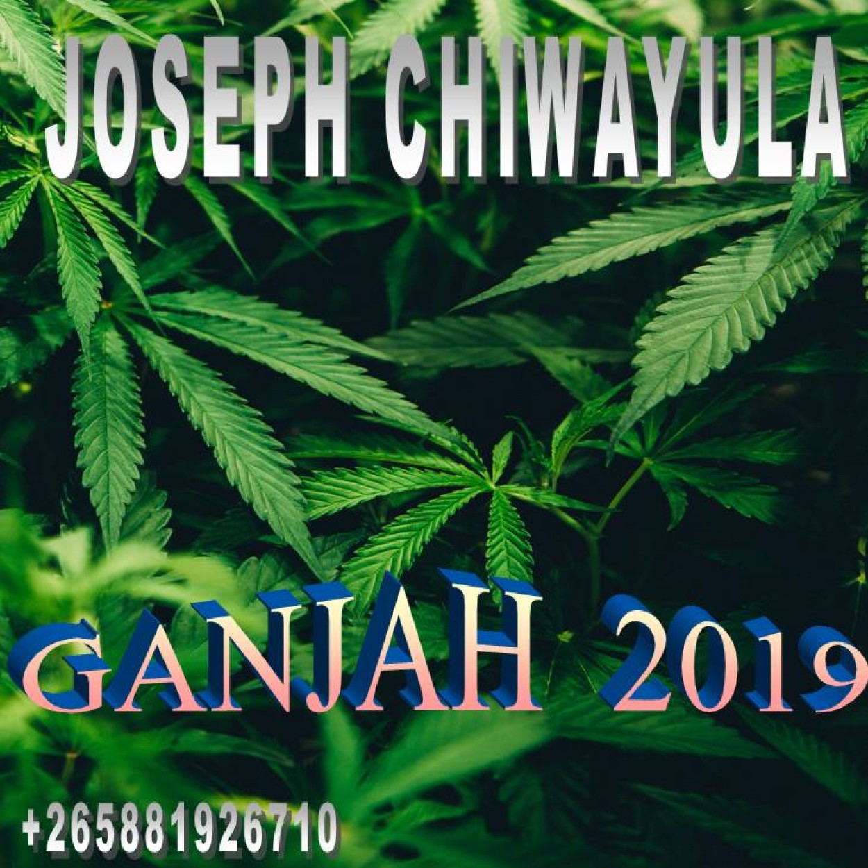 Joseph Chiwayula 