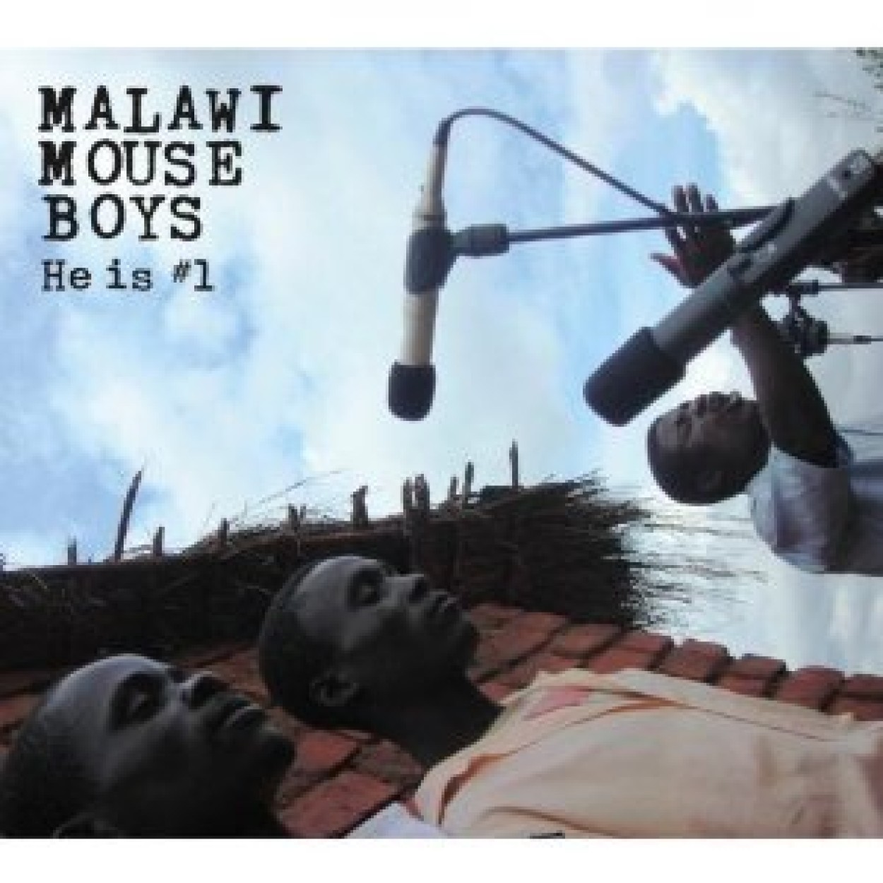 Malawi Mouse Boys 