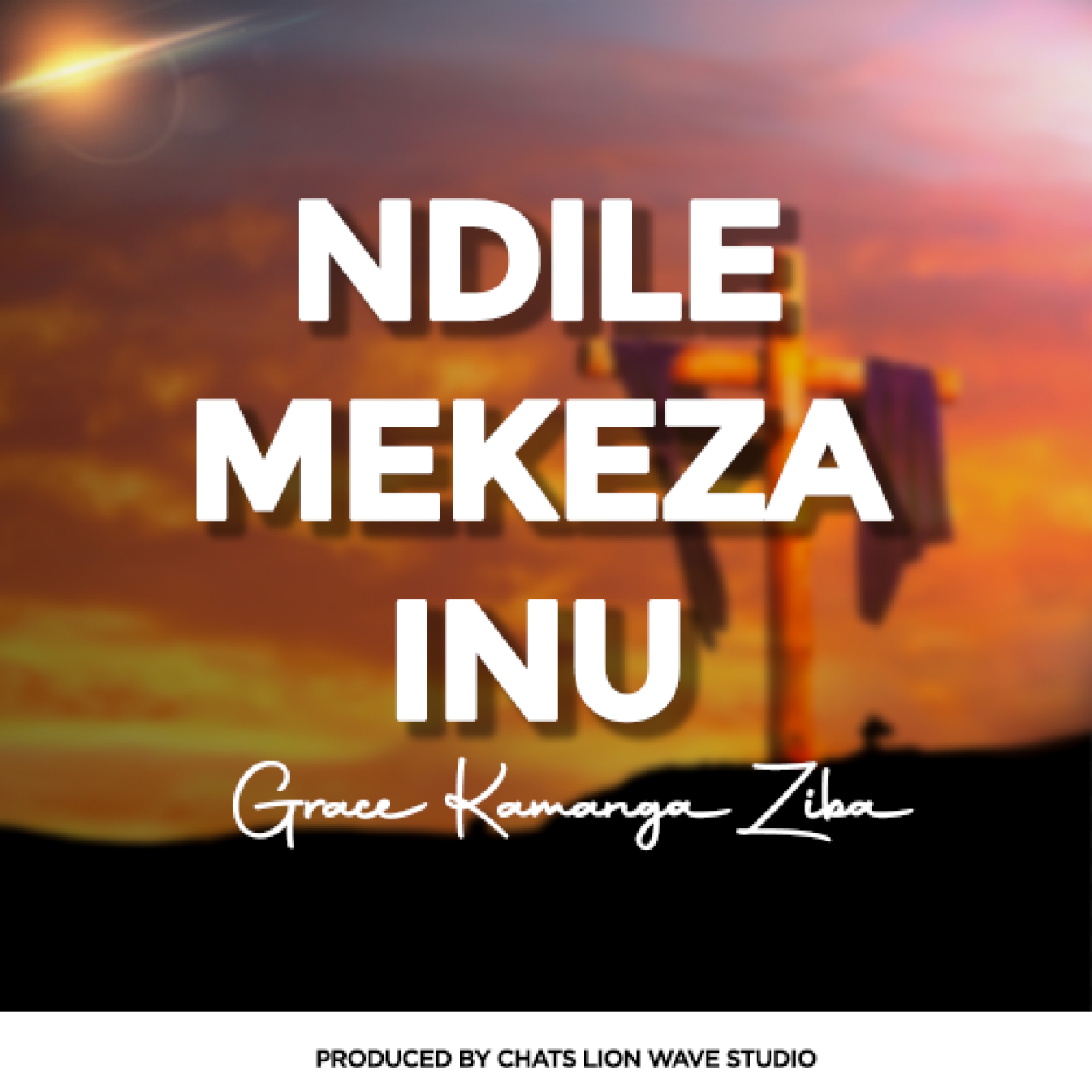 Grace Kamanga Ziba 