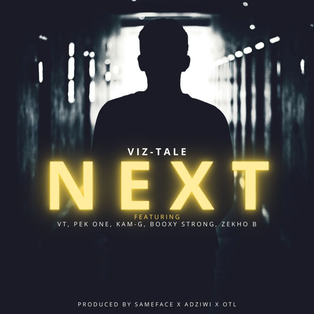Viz-Tale 