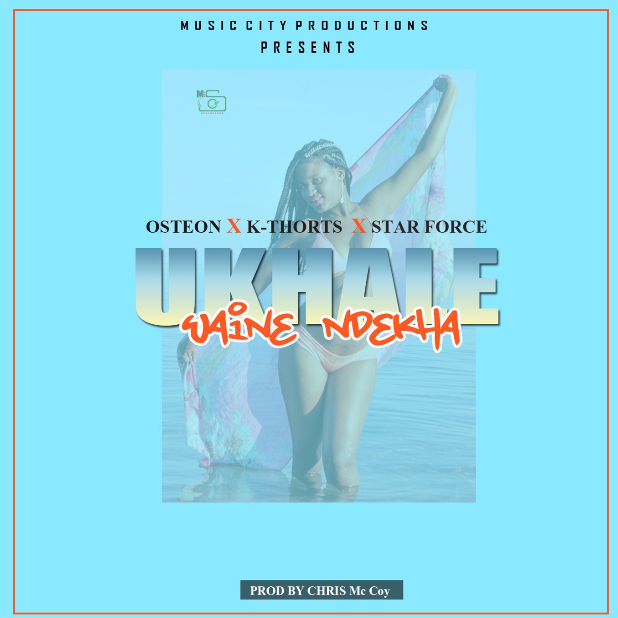 Osteon 