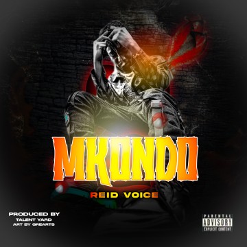 Mkondo 