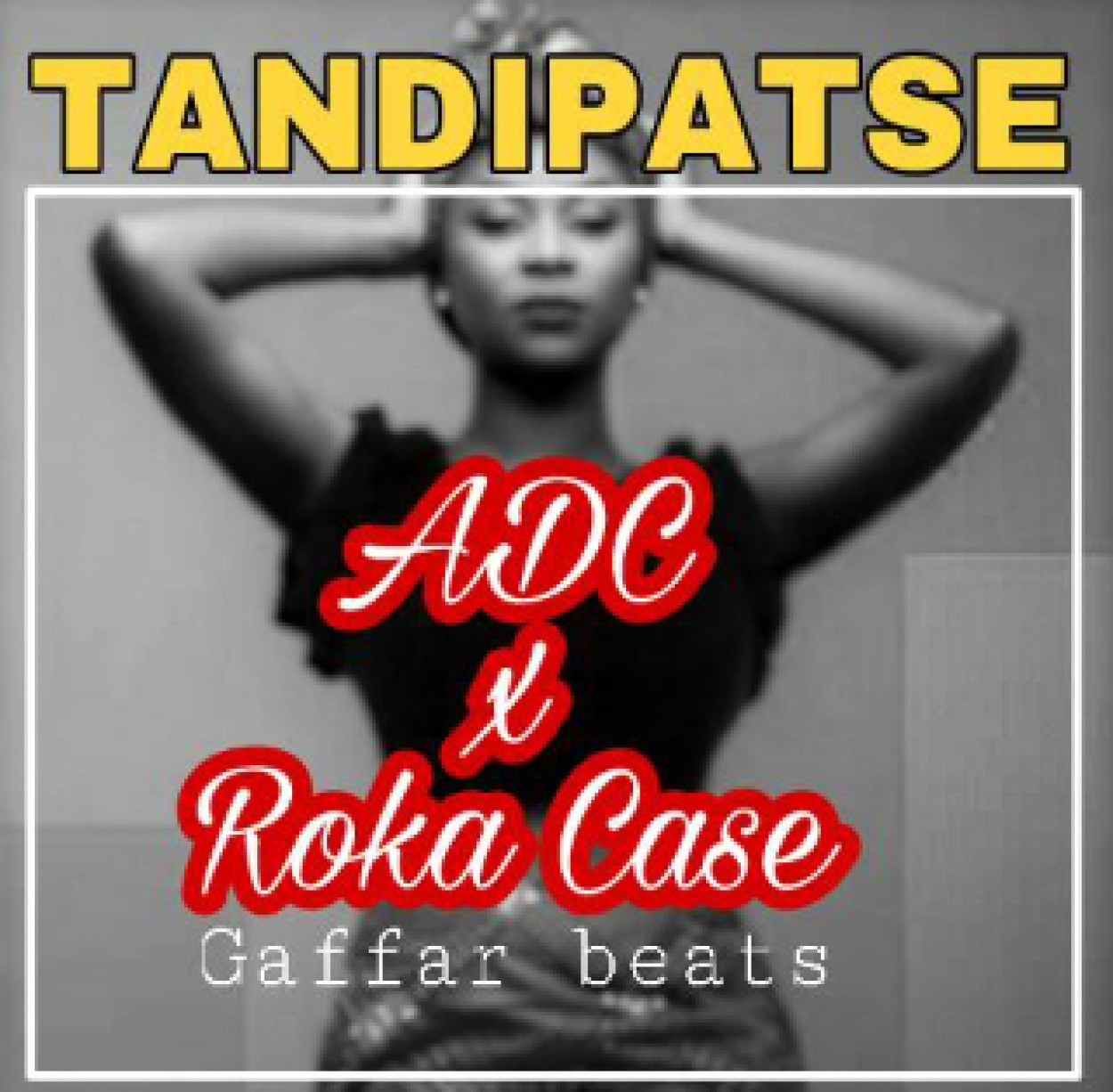 Roka Case  