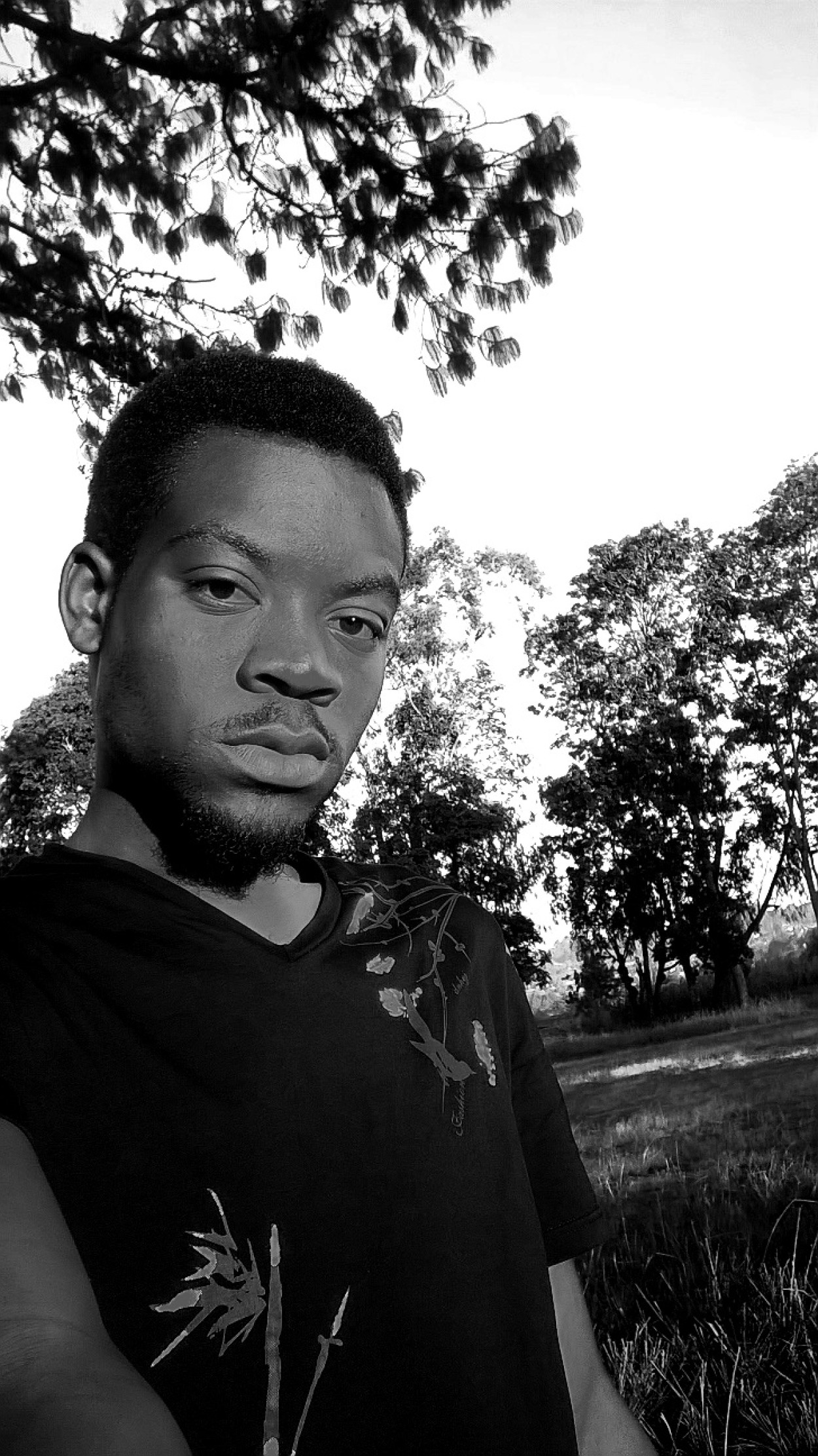 Grey Man 