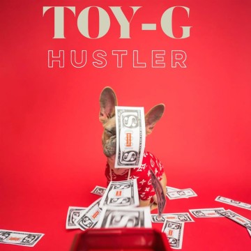 Hustler 