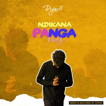 Ndikanapanga Party 