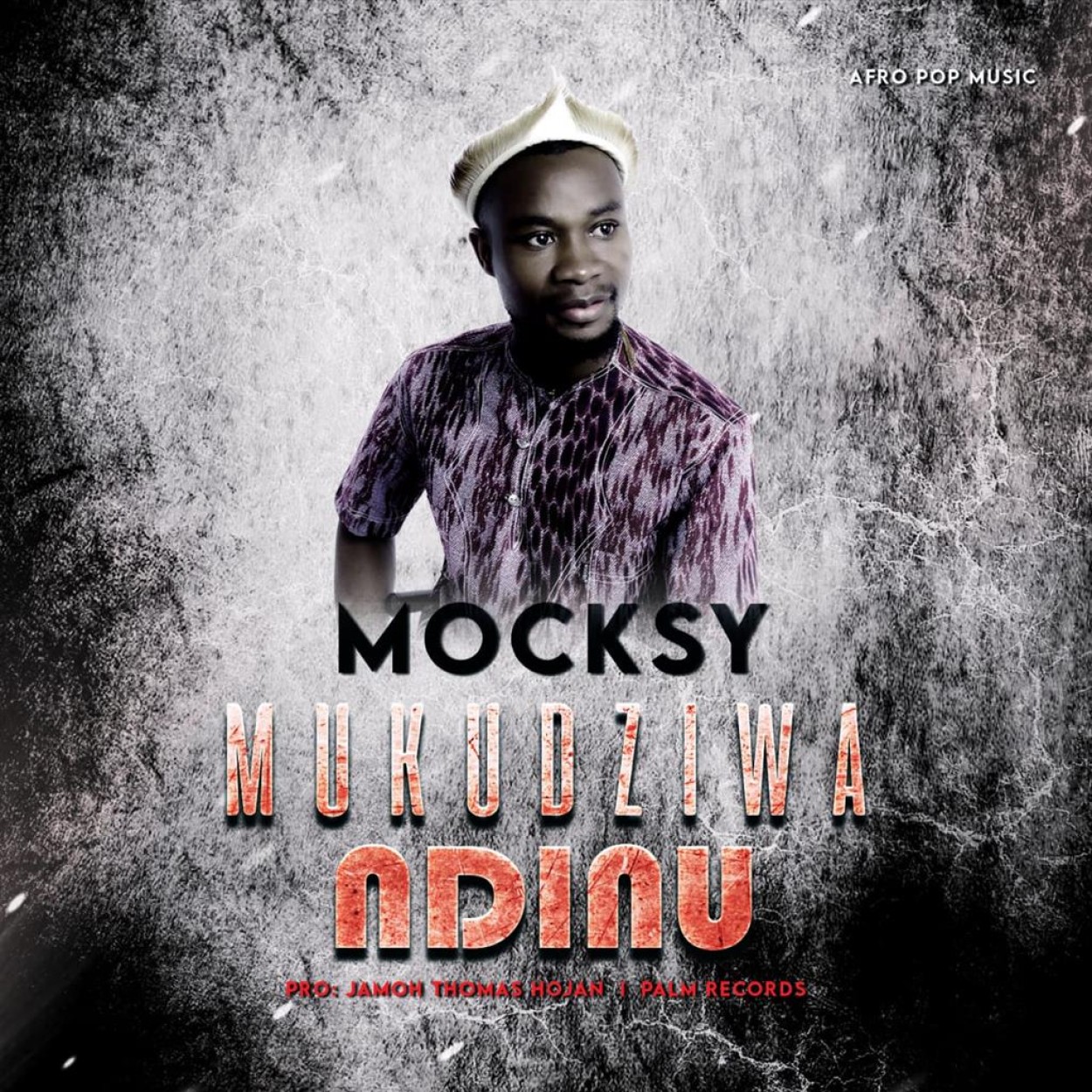 Joshua Mokowa 