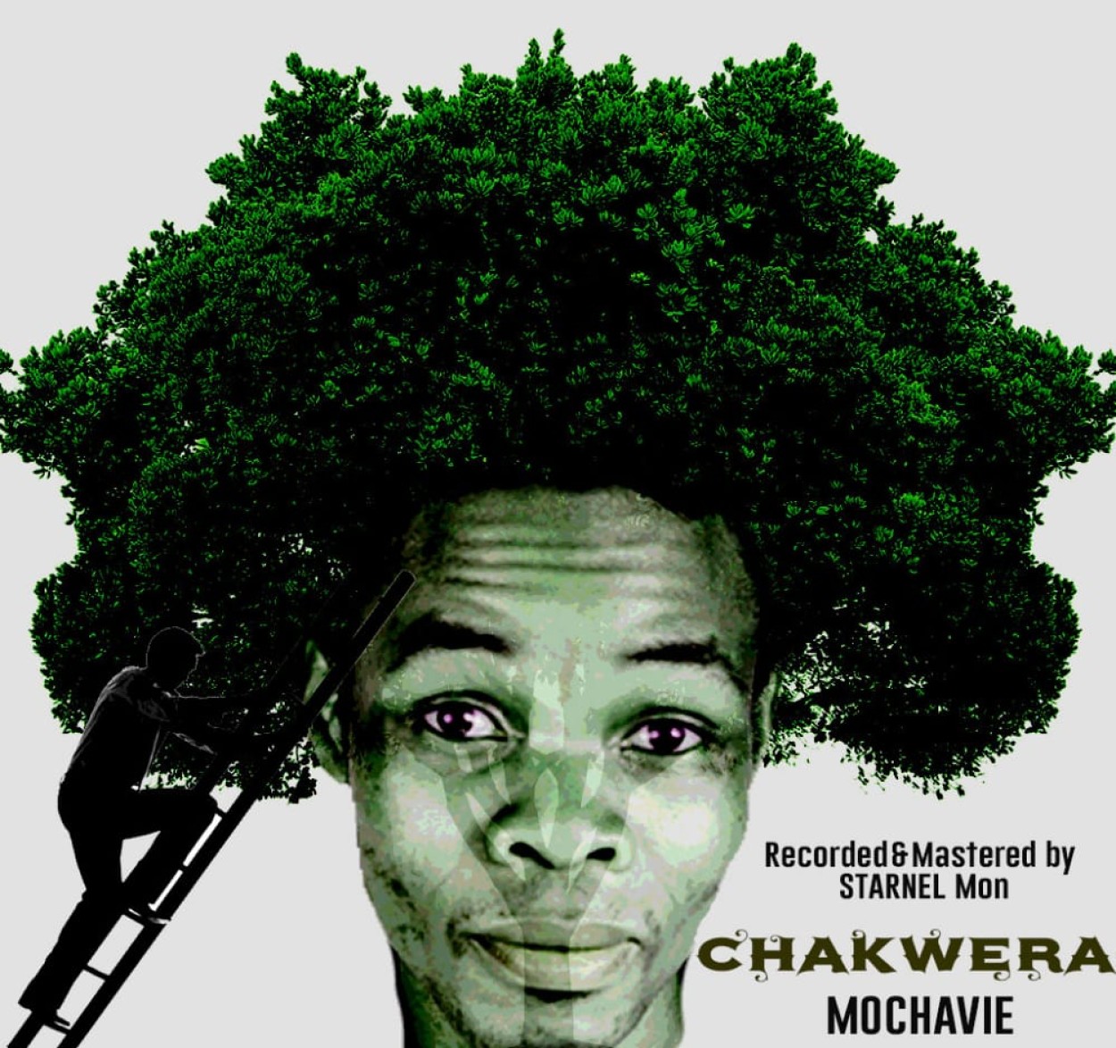Mochavie 