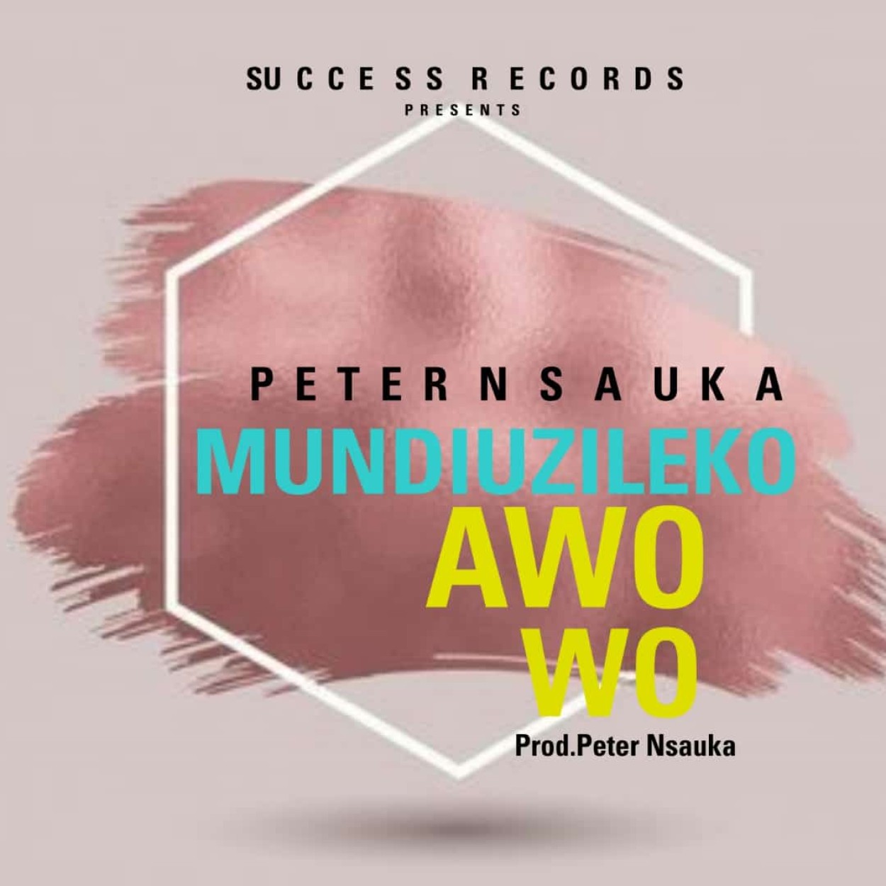 Peter Nsauka 