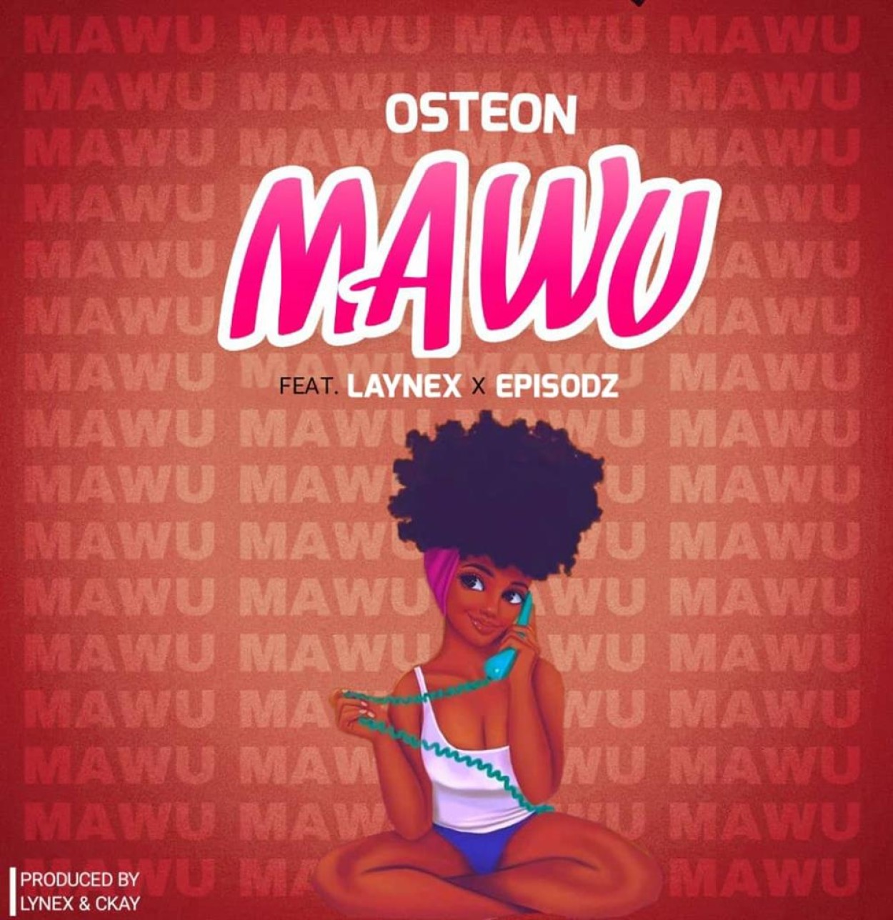 Osteon 