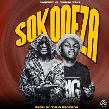 Sokoneza 