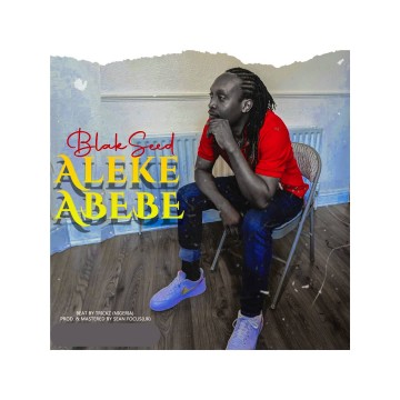 Aleke Abebe 