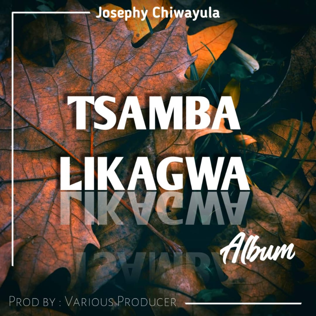 Joseph Chiwayula 