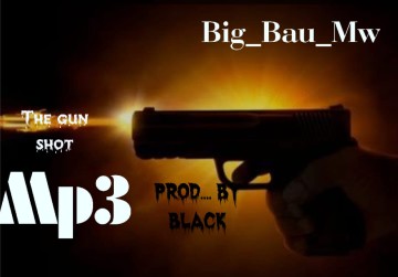 The Gun Shot 