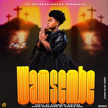 Wansembe 
