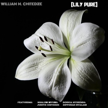 Lily Pure 