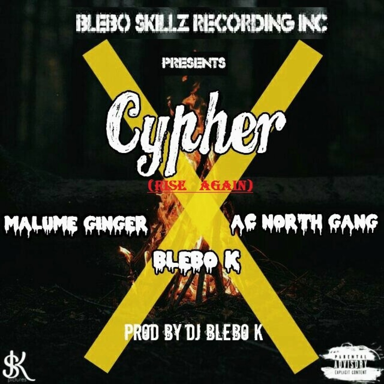 Blebo Skillz Recording Ink 