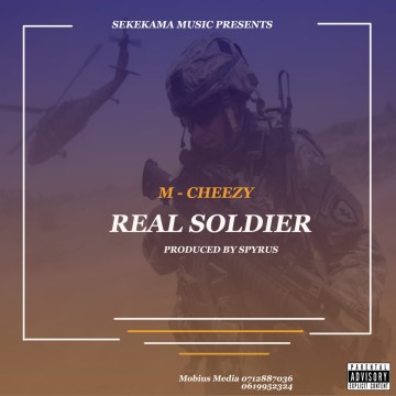 Real Soldier 