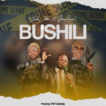 Bushiri 