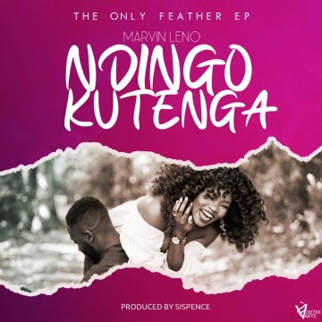 Ndingokutenga 