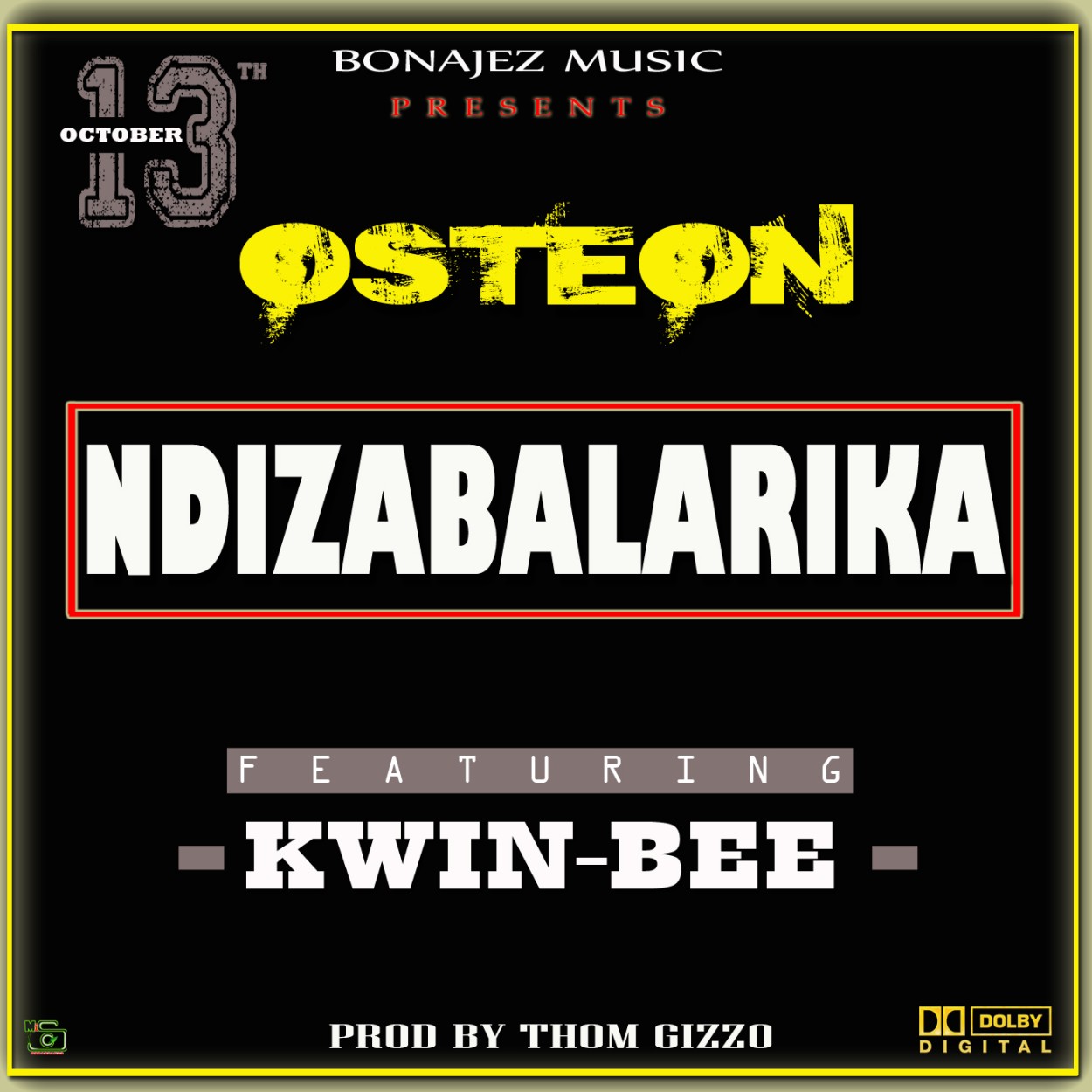 Osteon 