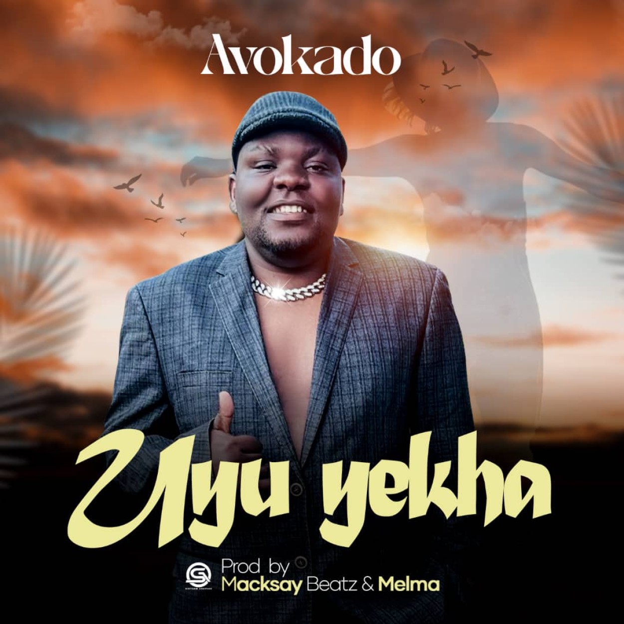 Avokado 