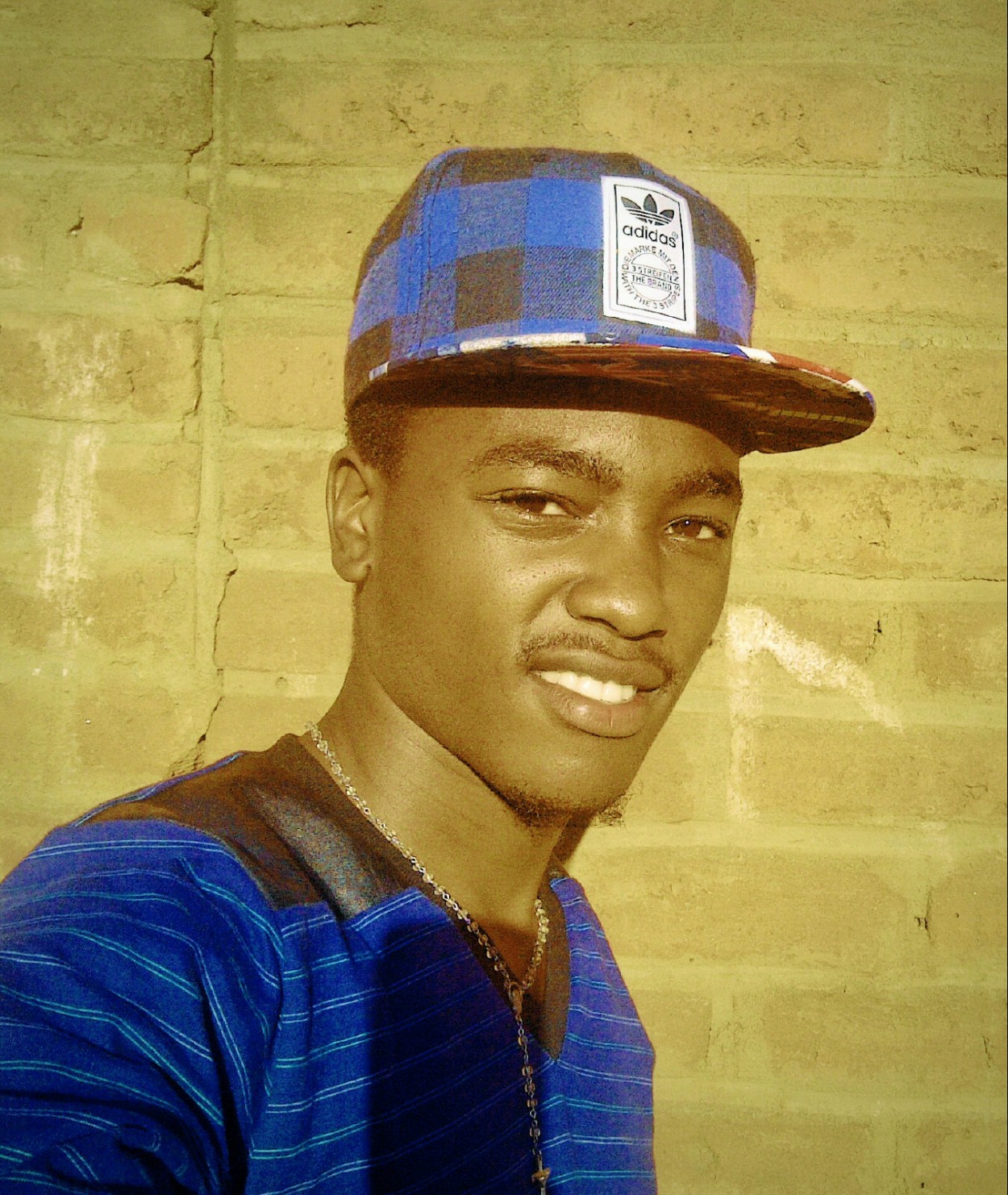 Lion Brand 