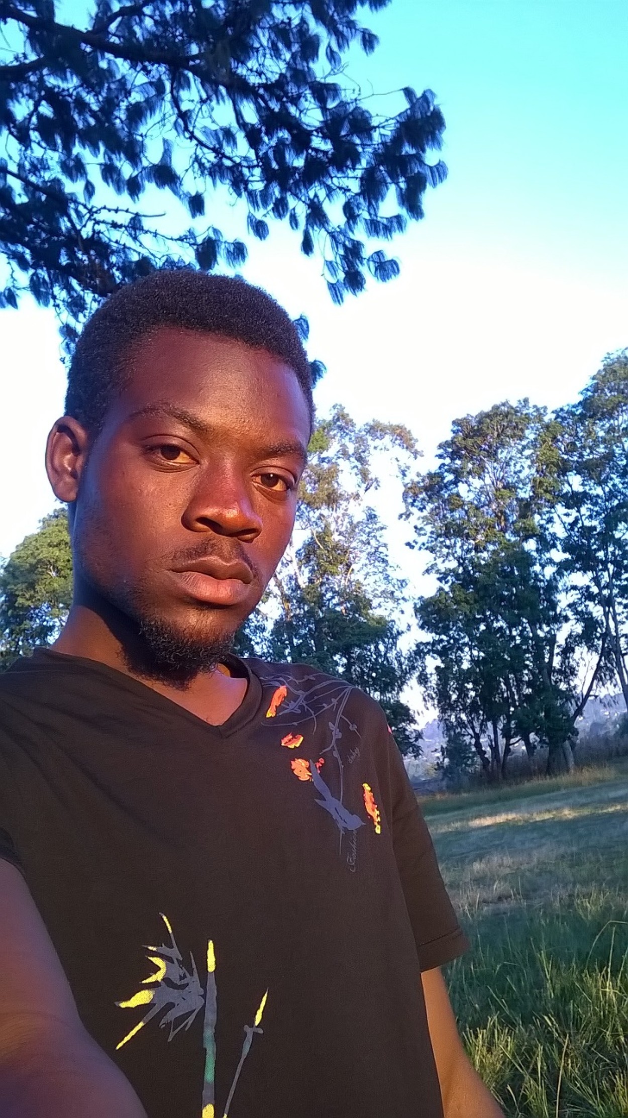 Grey Man 