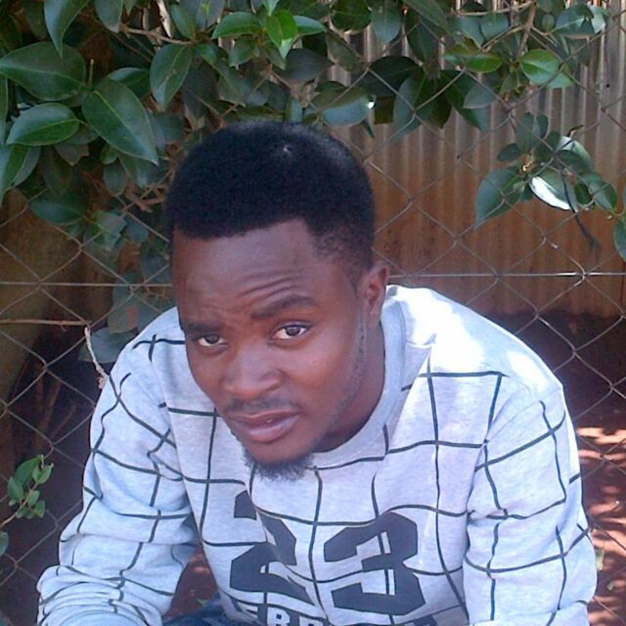 Wayne B 