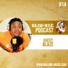 Blaze Podcast #014 