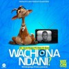 Wachiona Ndani 