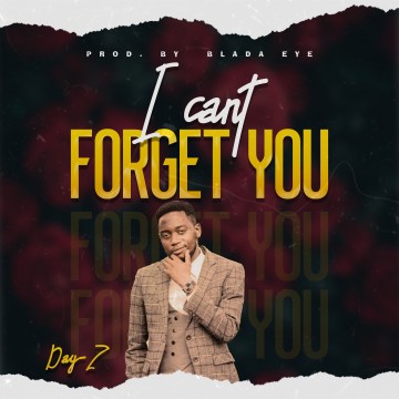 I Cant Forget You 